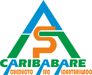 logo-cari